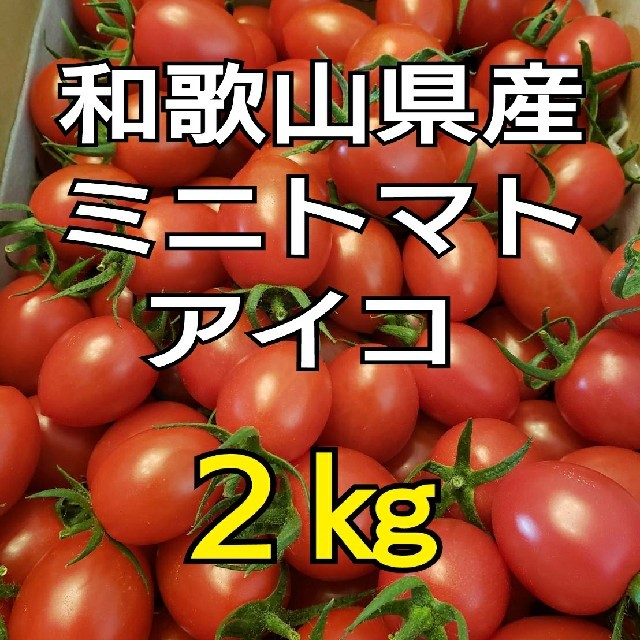 ２kg 和歌山県産 ミニトマト アイコ 食品/飲料/酒の食品(野菜)の商品写真