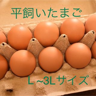 平飼いたまご　 L ~3Lサイズ　10個入り3パック 国産もみじの卵(野菜)