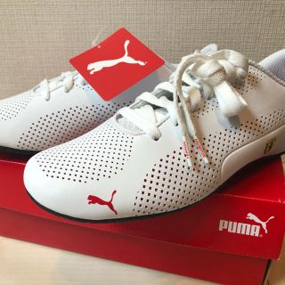 プーマ(PUMA)のPUMA プーマ ドリフトキャット  フェラーリ　305921-03(スニーカー)