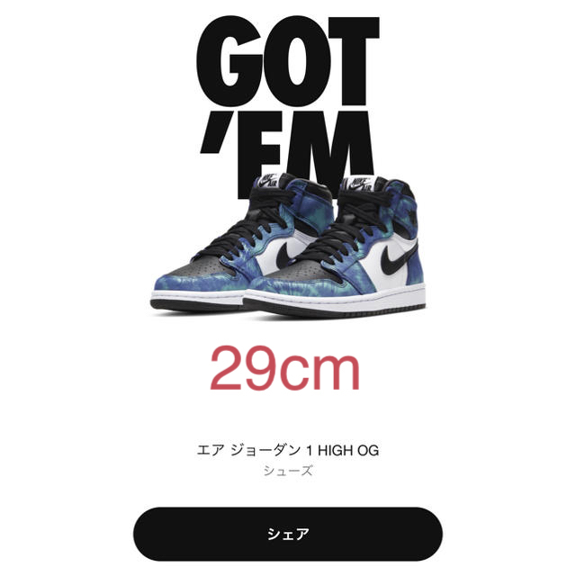 ジョーダン1 レトロ タイダイ 29cm jordan1 Tie-Dye