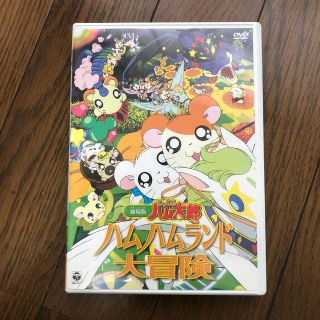 劇場版　とっとこハム太郎　ハムハムランド大冒険 DVD(アニメ)