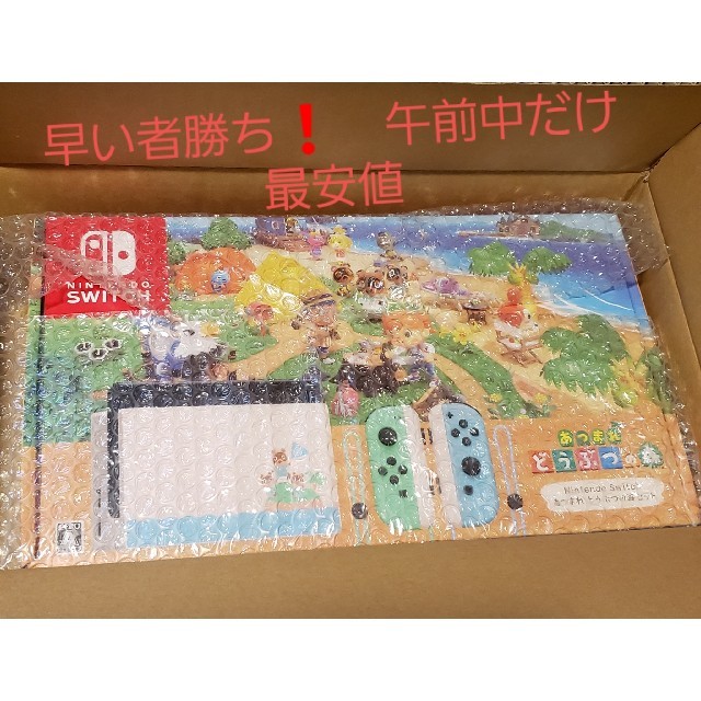 Nintendo Switch　☆あつまれどうぶつの森同梱☆