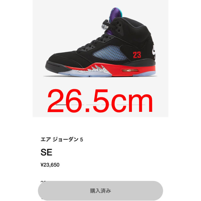 NIKE AIR JORDAN 5 Retro SE Top3  26.5cm