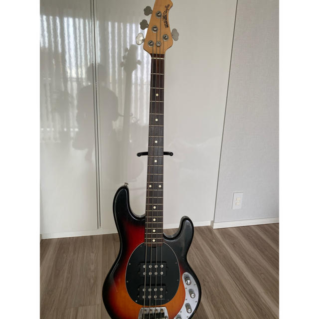 海外直送 MUSICMAN StingRay ジャンク品 ハードケース付き | tn