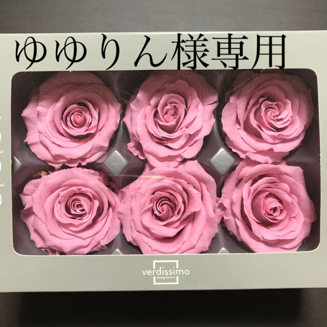 ゆゆりん様専用verdissimo ステラのベゴニアピンクと他 ...