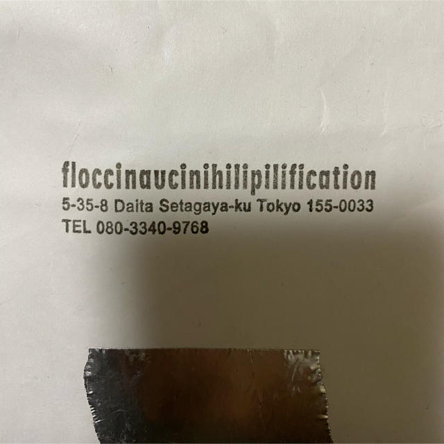 floccinaucinihilipilification