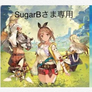 ニンテンドウ(任天堂)のSugarBさま専用(ゲーム)