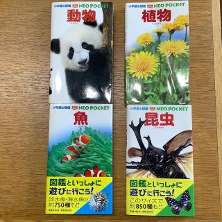 ショウガクカン(小学館)の小学館の図鑑　NEO POCKET 植物、動物、魚、昆虫(絵本/児童書)