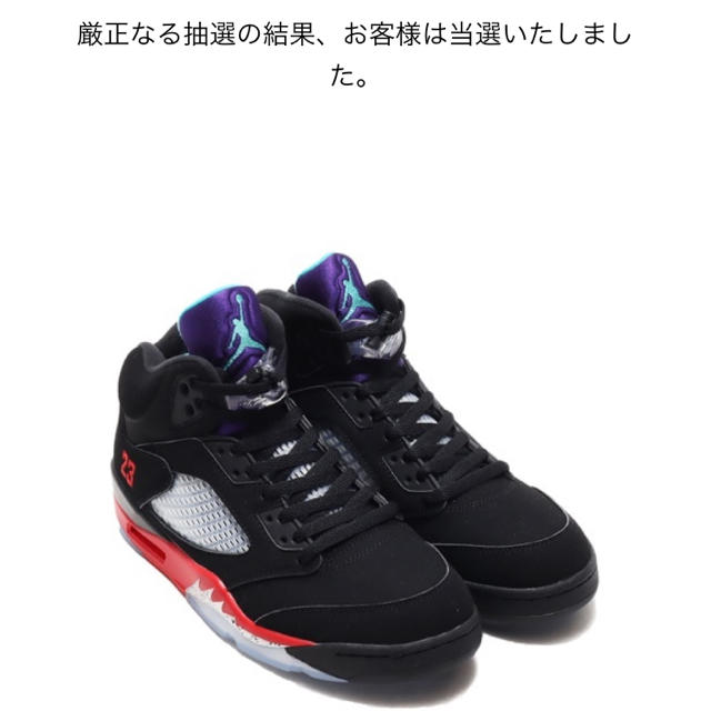 NIKE AIR JORDAN5 27.0靴/シューズ