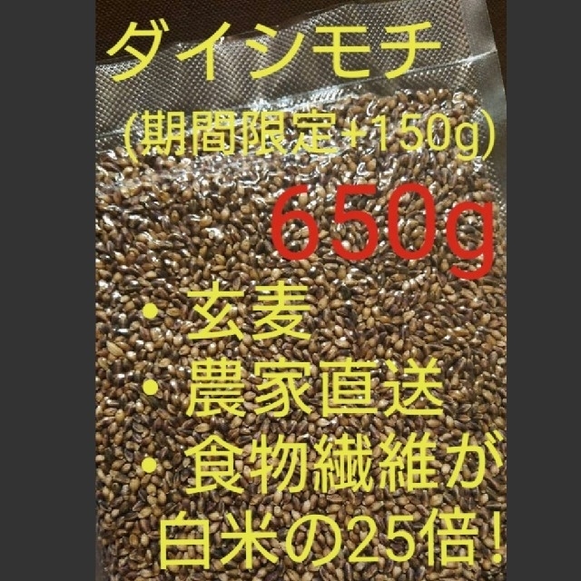 ダイシモチ 玄麦 食品/飲料/酒の食品(米/穀物)の商品写真