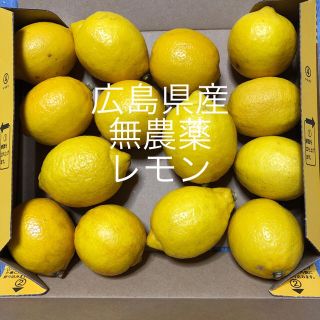 広島県産　無農薬　レモン(フルーツ)