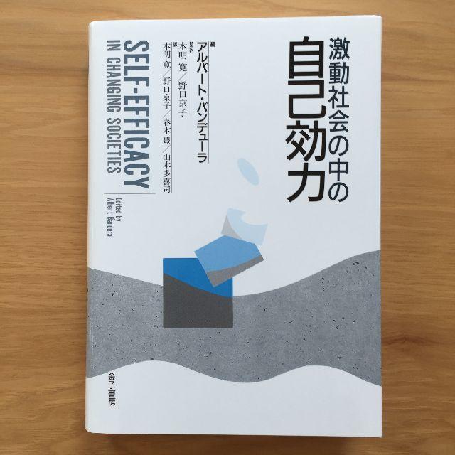 激動社会の中の自己効力