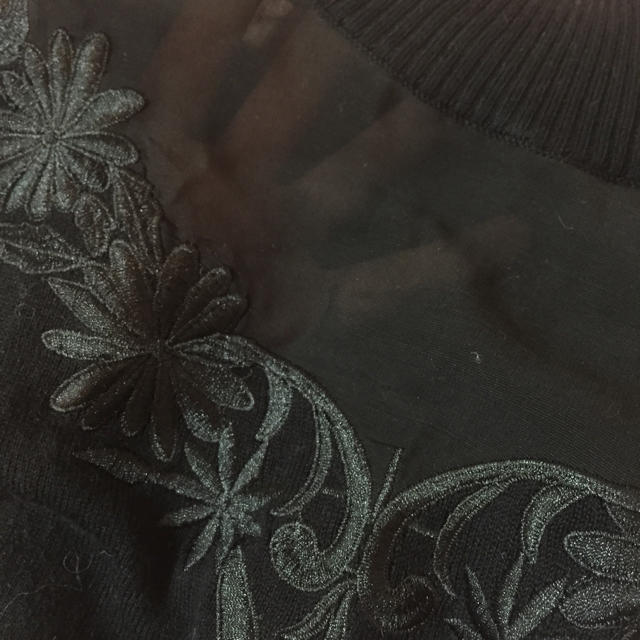 EVRIS(エヴリス)のシースルーフラワー刺繍ニット レディースのトップス(ニット/セーター)の商品写真