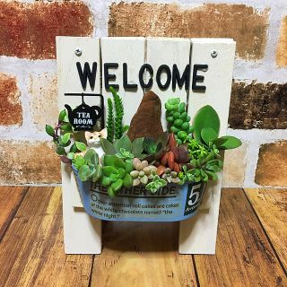 多肉植物の寄せ植え　ウェルカムボード(ねこのティールーム)(その他)