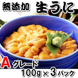 冷凍 生うに Aグレード 100g×3パック 送料無料 一部地域発送不可(魚介)