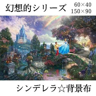 ディズニー(Disney)の【1点限定！即発送分】シンデレラ 背景布 インスタ映え(ポスター)