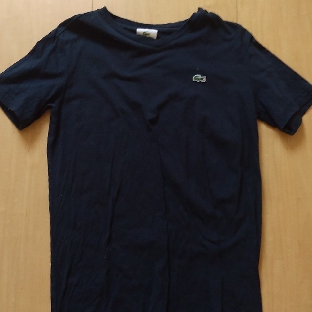 LACOSTE(ラコステ)のラコステLACOSTEのVﾈｯｸネイビーTｼｬﾂラルフローレンRALPHpolo レディースのトップス(Tシャツ(半袖/袖なし))の商品写真