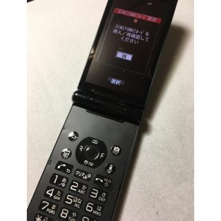 エヌティティドコモ(NTTdocomo)のdocomo  P-01F ガラケー　　　(47)(携帯電話本体)