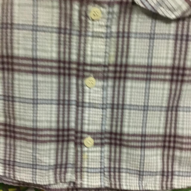 papp(パプ)のpapp シャツ100サイズ キッズ/ベビー/マタニティのキッズ服男の子用(90cm~)(Tシャツ/カットソー)の商品写真