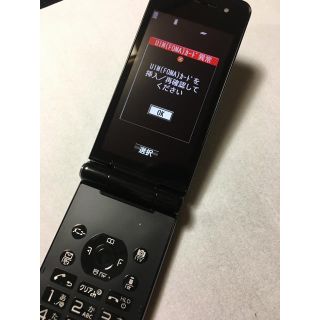 エヌティティドコモ(NTTdocomo)のdocomo  P-01F ガラケー(48)(携帯電話本体)