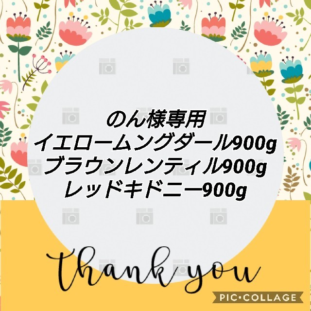 のん様専用 食品/飲料/酒の食品(米/穀物)の商品写真