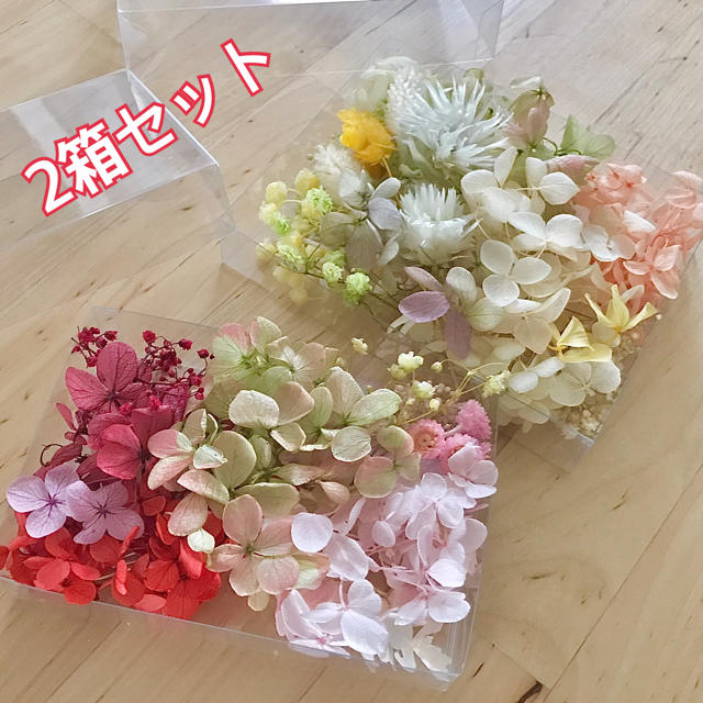 詰め合わせ2箱セット プリザーブドフラワー 花材 紫陽花 かすみ草 ラグラス ハンドメイドのフラワー/ガーデン(プリザーブドフラワー)の商品写真