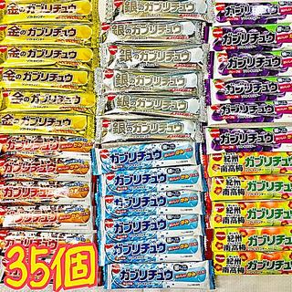 大人気❗️★ガブリチュウ★取り合わせ★6種類☆35個❣️(菓子/デザート)