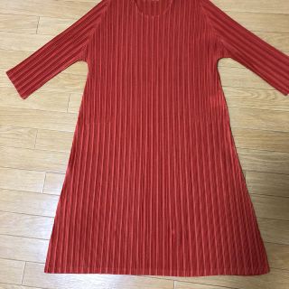 プリーツプリーズイッセイミヤケ(PLEATS PLEASE ISSEY MIYAKE)のいっせいみやけ！２点❣️(チュニック)