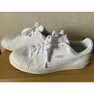 プーマ(PUMA)の【Puma　スニーカー25センチ】ホワイト(スニーカー)