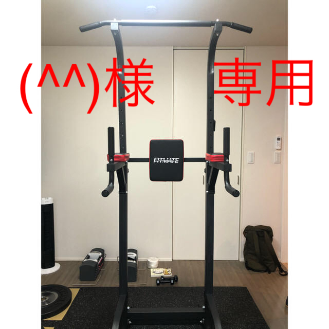 FITMATE 懸垂マシン