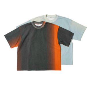 コモリ(COMOLI)のauralee biotop exclusive stand up T(Tシャツ/カットソー(半袖/袖なし))