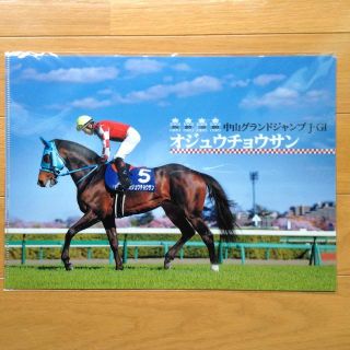 オジュウチョウサン🐴 クリアファイル〜非売品〜🌹(ノベルティグッズ)