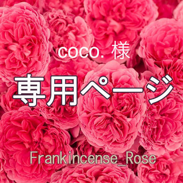 全ての coco. 様専用ページ | skien-bilskade.no