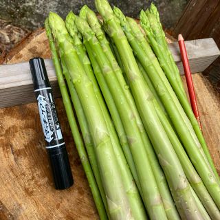 coco様専用　アスパラガス(野菜)