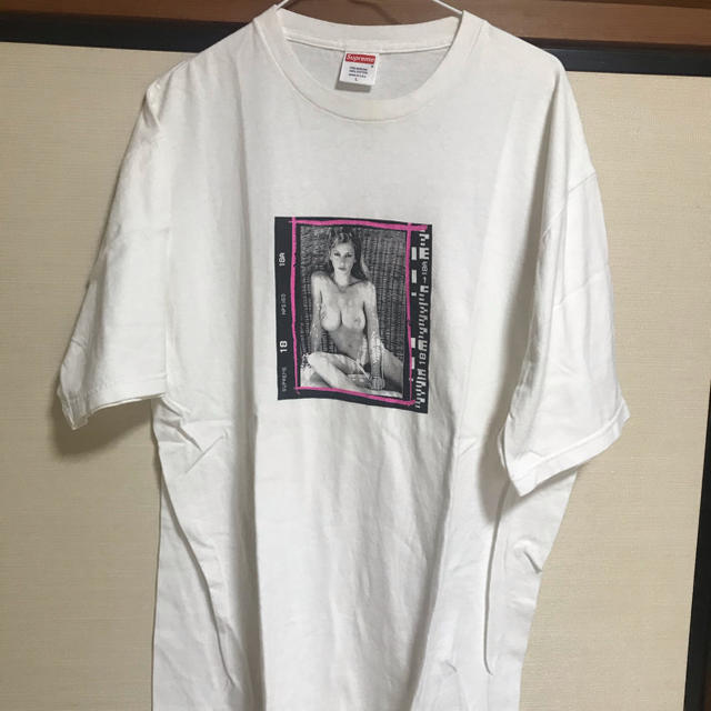 Supreme - supreme テリーリチャードソン ヌード フォト Tシャツ Lの