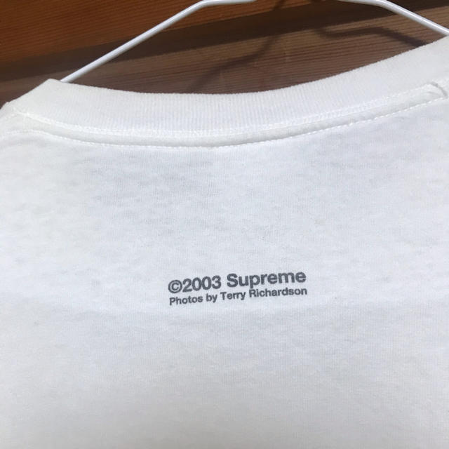 Supreme - supreme テリーリチャードソン ヌード フォト Tシャツ Lの