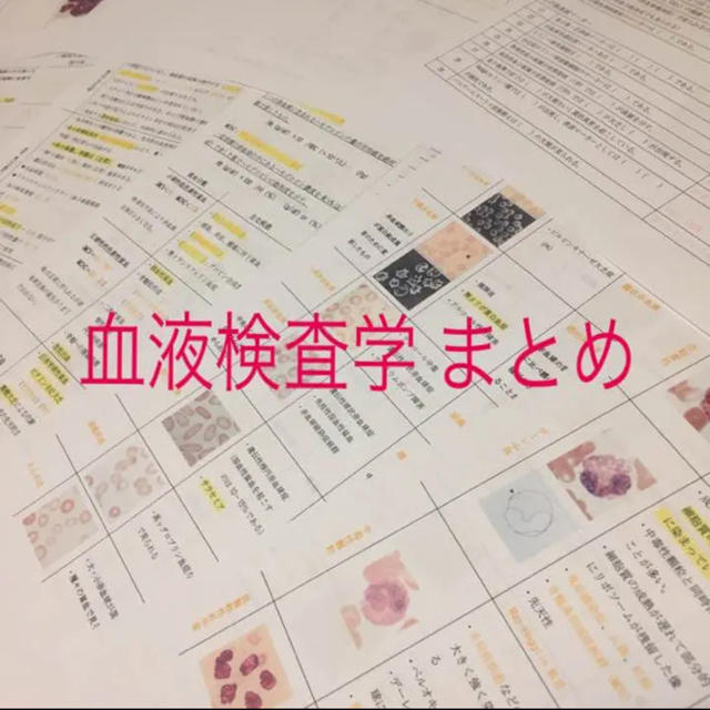 専門店では スタンダード検査血液学 Web動画付 第4版 日本検査血液学会