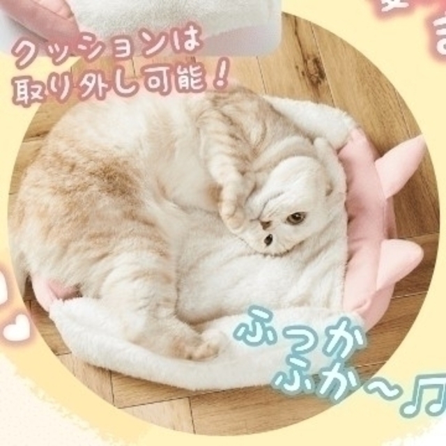 ふみ様専用 ねこのきもち 付録 ふかふかねこベッド