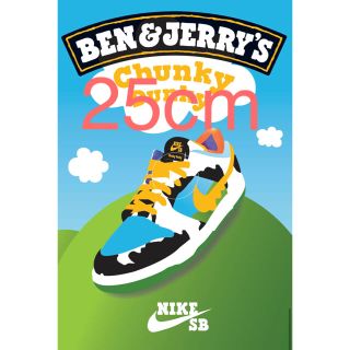 ナイキ(NIKE)のナイキ SB ダンク LOW ×Ben&Jerry's CHUNKY DUNKY(スニーカー)