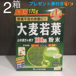 山本漢方製薬 大麦若葉粉末100% 計量タイプ 170g×2箱(青汁/ケール加工食品)