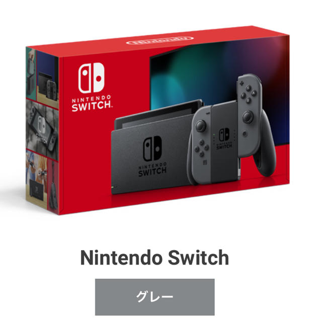 【新品・納品書付】任天堂スイッチ Nintendo Switch 新型 グレー