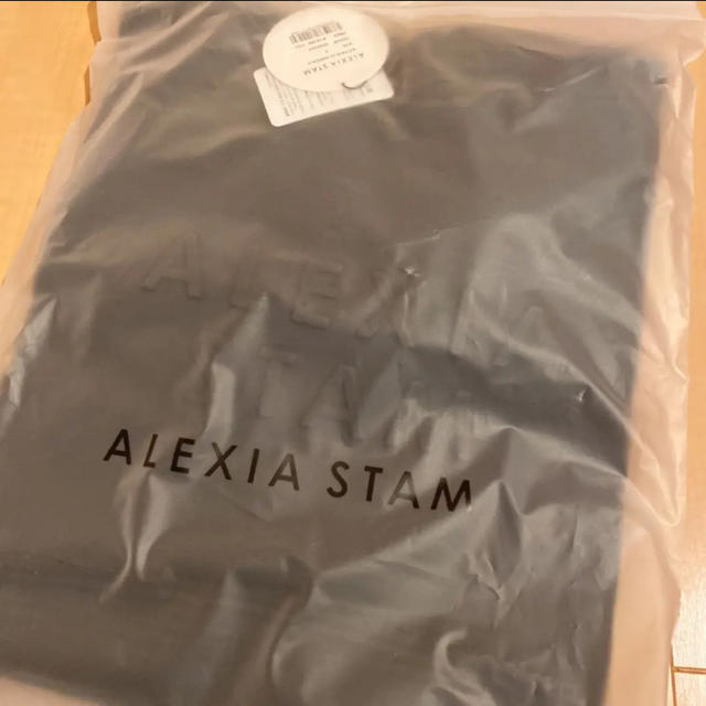 ALEXIA STAM(アリシアスタン)の《タグ付き》alexiastam パーカー　charcoal レディースのトップス(パーカー)の商品写真