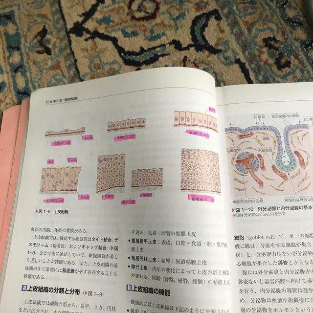 解剖学 第４版 エンタメ/ホビーの本(健康/医学)の商品写真