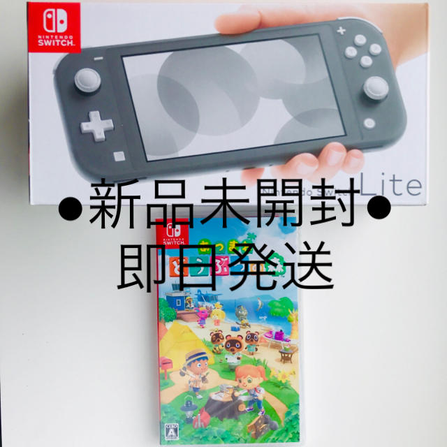 Nintendo Switch(ニンテンドースイッチ)のNintendo Switch ニンテンドースイッチライト グレー　あつ森ソフト エンタメ/ホビーのゲームソフト/ゲーム機本体(家庭用ゲーム機本体)の商品写真