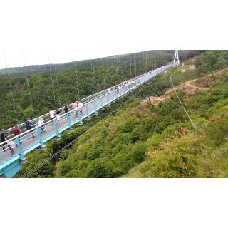 yajirobee様専用(その他)