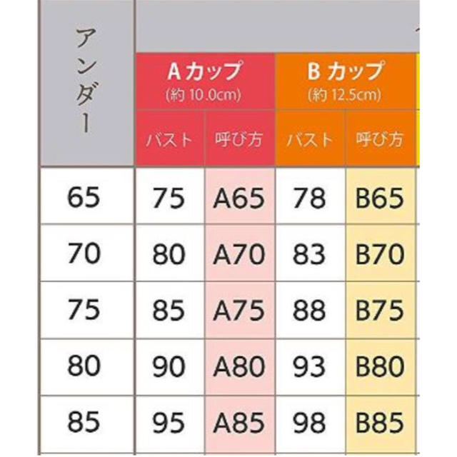 盛ブラ 可愛いブラ  ブラショーツセット 寄せ上げ レディースの下着/アンダーウェア(ブラ&ショーツセット)の商品写真