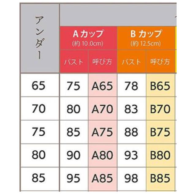 盛ブラ 可愛いブラ  ブラショーツセット 寄せ上げ レディースの下着/アンダーウェア(ブラ&ショーツセット)の商品写真