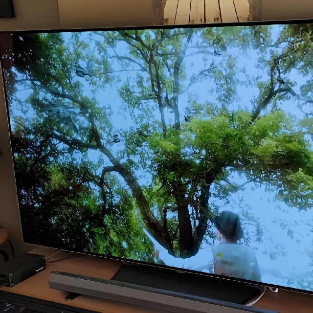 LG 65V型 有機EL テレビ OLED65B6P 4K 外付けHDD裏番組録