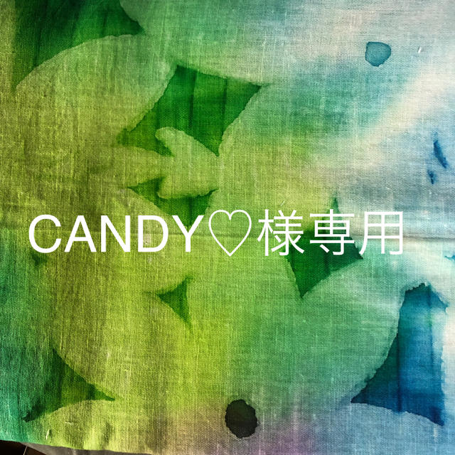 CANDY♡様専用の通販 by deisan's shop｜ラクマ