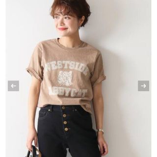 スピックアンドスパン(Spick & Span)のSpick&Span Mixta Tシャツ★美品(Tシャツ(半袖/袖なし))